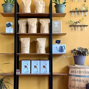 Coffee beans and pour over set ups for sale