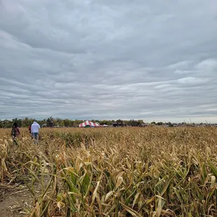 10.16.22 - Corn Maze