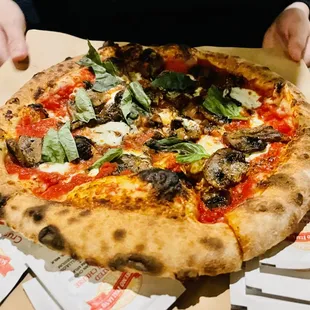 a person holding a pizza