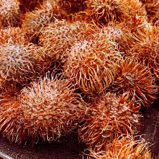 Rambutan