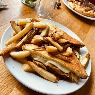 a plate of french fries and a sandwich