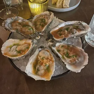 Oysters