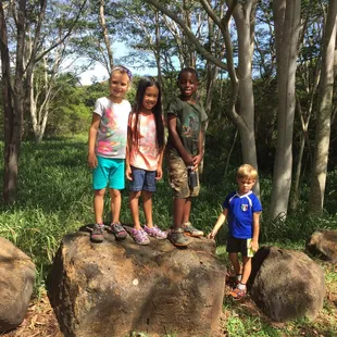 Our very own woods in Mililani!