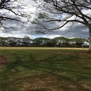 Beautiful Kealohi filed! Right next to Rec.4.