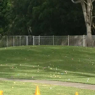 Easter Egg Hunt 2013