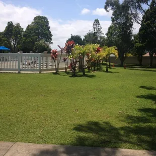 Swimming pool next to a large park! Nice!