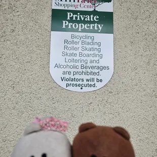 Some rules to follow...