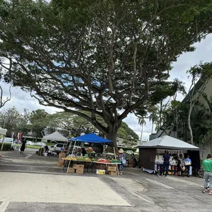 Friday farmers market behind courtyard 1-26-24