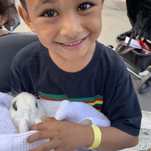 Petting bunnies and chicks