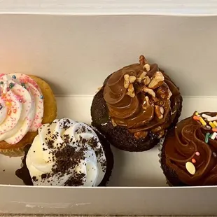6 Cupcakes