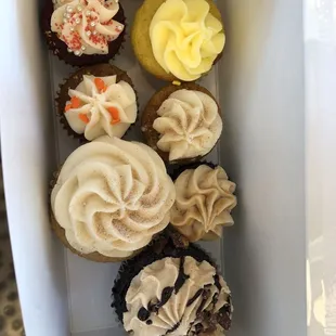 Mini &amp; regular size