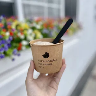 a hand holding a cup of ice cream