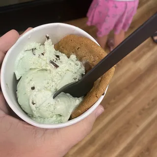 Mint Chocolate Chip Homemade Ice Cream