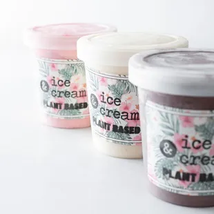 Vegan Ice Cream