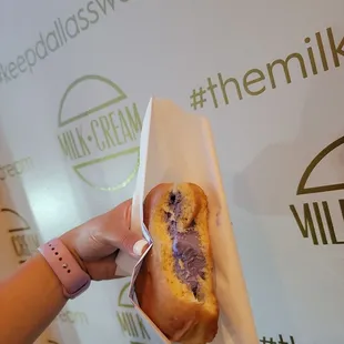 Lavender bean on a plain