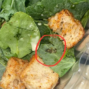 a close up of a salad