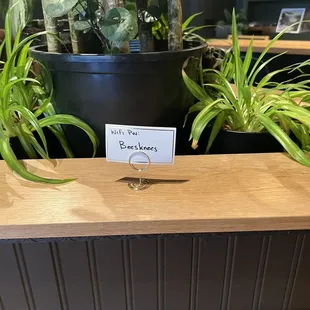 three plants in a window box