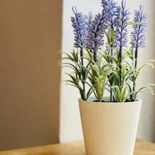 Cozy little coffee shop