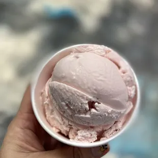 Strawberry - Single Scoop