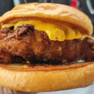 Fish sandwich with just cheese (no tartar sauce or pickles)