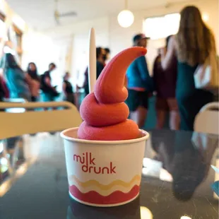 Strawberry-Rhubarb soft serve