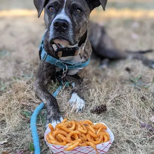 Curly fries