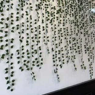 a wall covered with leaves