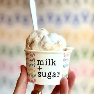 Ice Double Scoop - Dulce de Horchata &amp; Rain or Shine