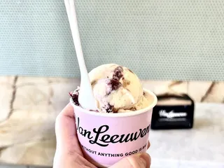 Van Leeuwen Ice Cream - West U