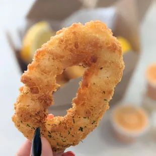 Fried Calamari