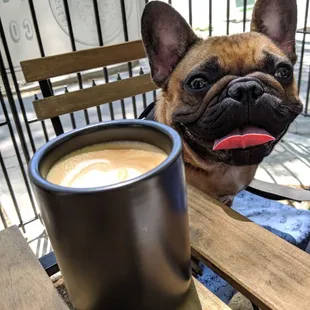 A regular