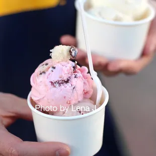 Single Scoop ($6.50) - Mexican Gansito (strawberry base), Tim Tam Slam (malted chocolate base)