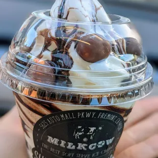 a hand holding a cup of ice cream