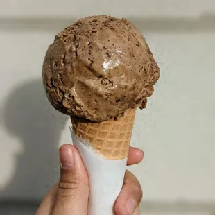 Zöe François (WHM 2021 Flavor)