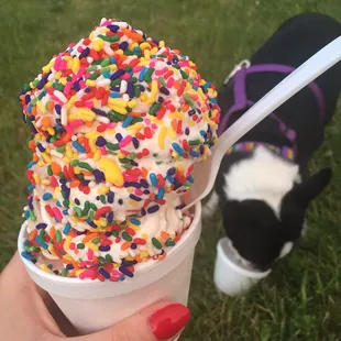 Twist with sprinkles - and that was a MEDIUM - mega portions here! Even my furbaby loved her vanilla cup!