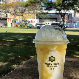 Mango Snowthie