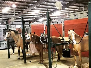 Dallas Equestrian Center