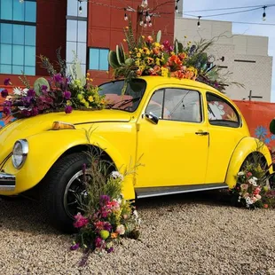 Spring Bloom Fest on Mill