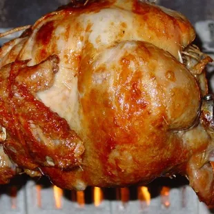 Chicken