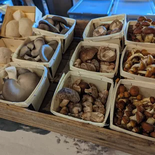 Fresh mushrooms available yearround from local farmers