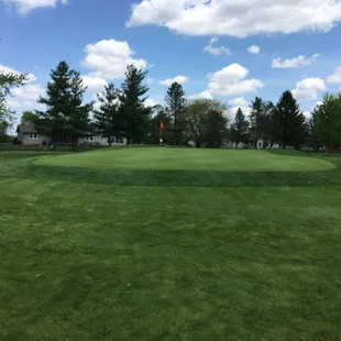 #12 Green
