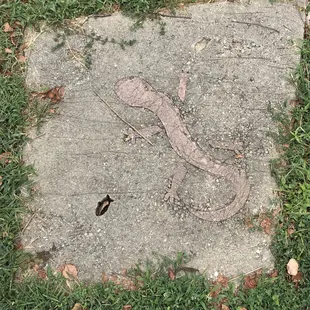 Discovered some artwork in the sidewalk