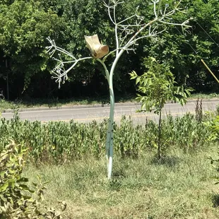 Artwork mixed in to greenery