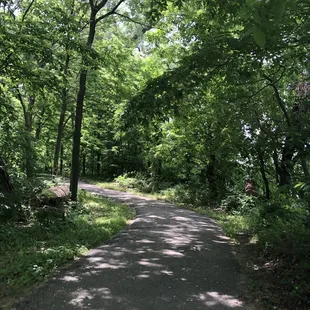 Trail around Nelson Island