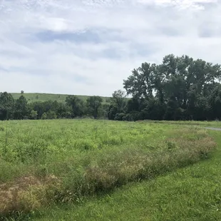 Prairie area of trail