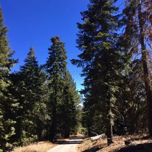 There is no road that doesn't lead to no where, it always leads to a new adventure.