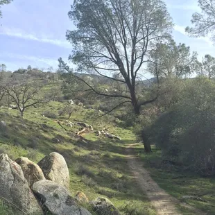 Great place to stop for lunch