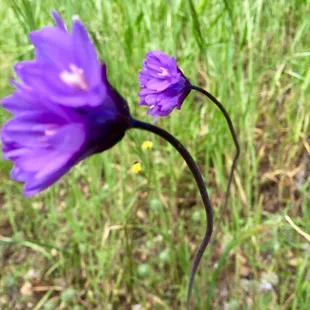 Mother Nature has some amazing colors