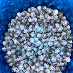 Blueberries