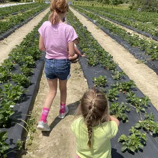 Lots of rows and plenty of room to walk